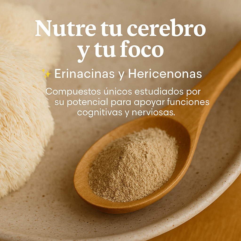 Enfoque - Café de Especialidad Colombiano con Hongos Adaptógenos Melena de León