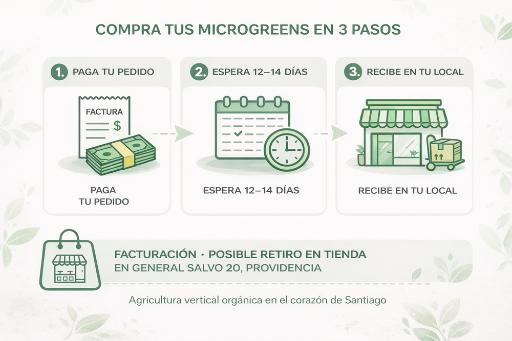 Microgreens vivos Rabanito y variedades 250 g HORECA (compra ahora y recibe en hasta 14 días en Santiago)