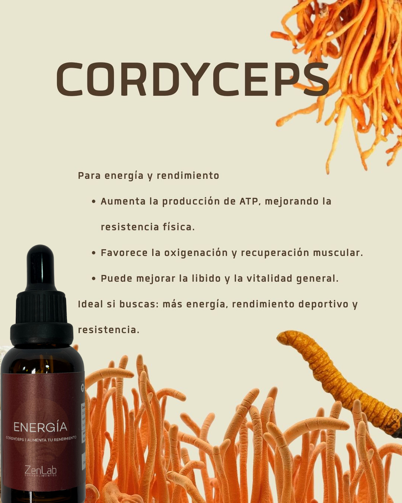 Tripack Bienestar Total – Melena de León, Reishi y Cordyceps para ansiedad, insomnio y energía natural +BATIDOR DE CAFÉ