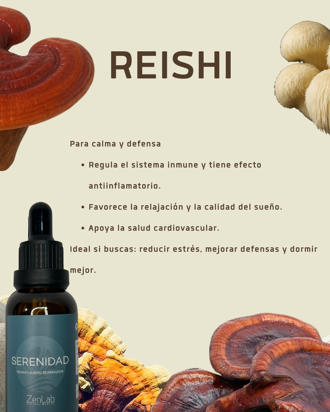 SERENIDAD - Ultra concentrado de Reishi 30 ml