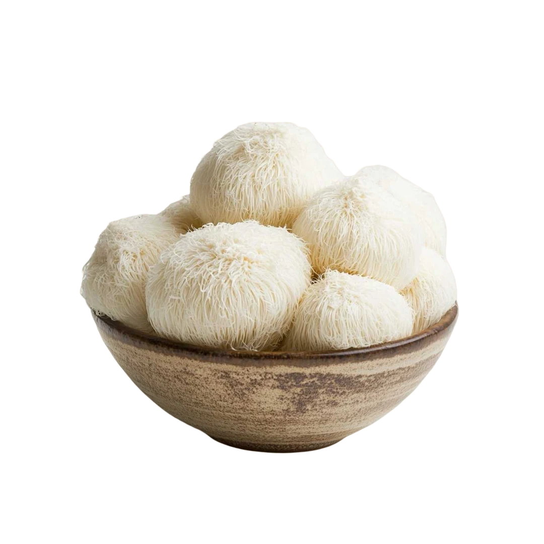 Melena de leon fresca