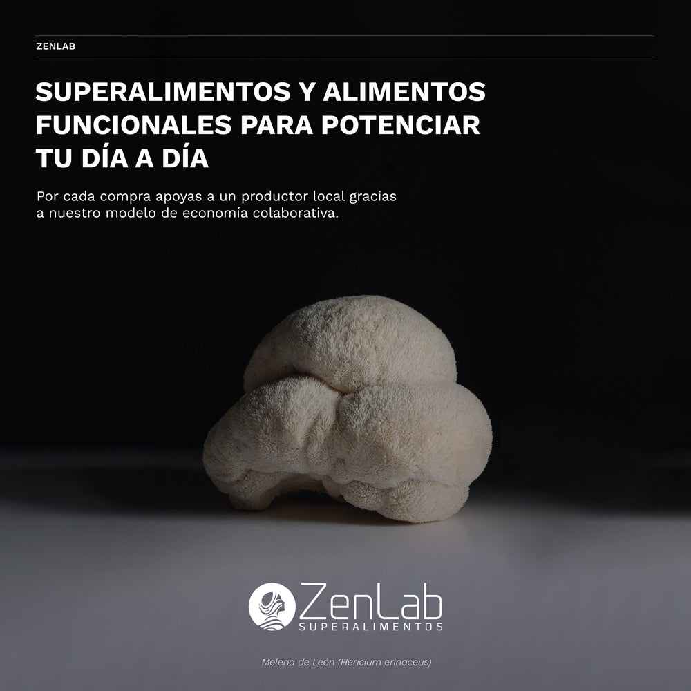 Balance - Suplemento de Melena de león deshidratada en polvo