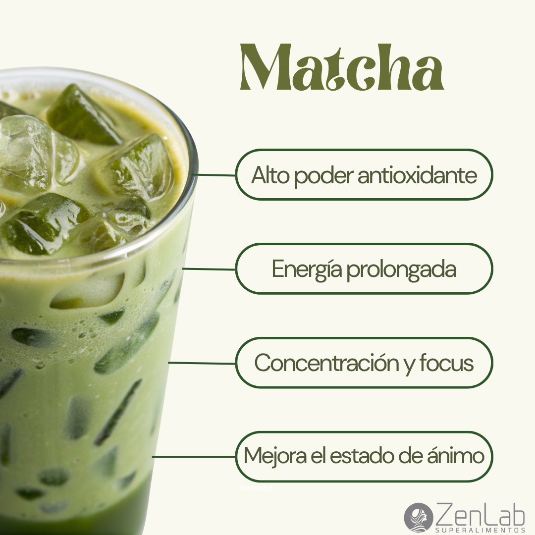 Matcha Japonés Orgánico Premium 100g | Esto es Matcha – ZenLab Chile
