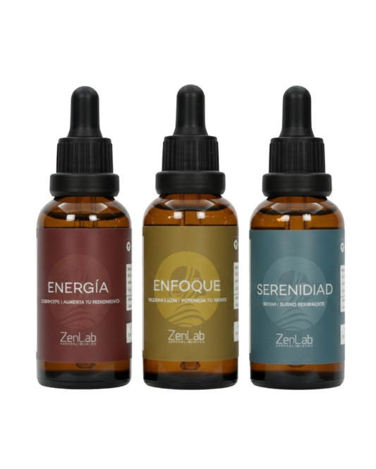 melena leon, reishi, cordyceps, concentracion natural, foco, energia, dormir bien