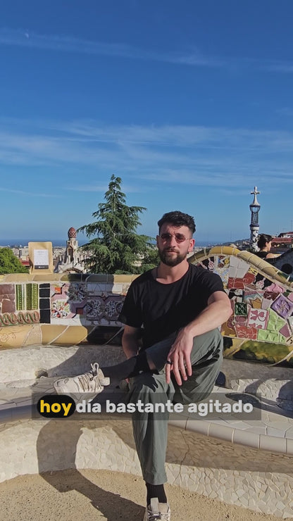 Balance - Suplemento de Melena de león deshidratada en polvo